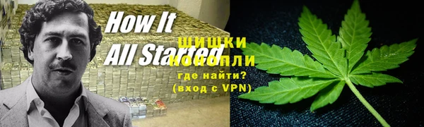 индика Верея