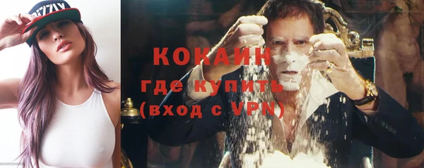 индика Верея