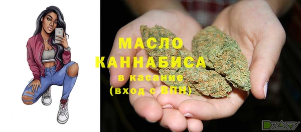 индика Верея
