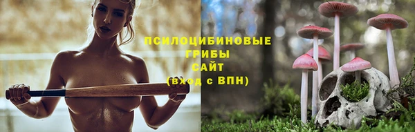 индика Верея