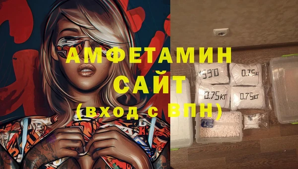 индика Верея