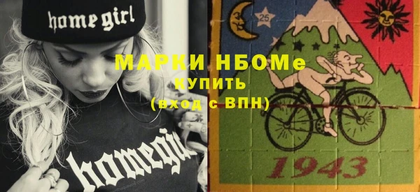 индика Верея
