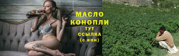 индика Верея