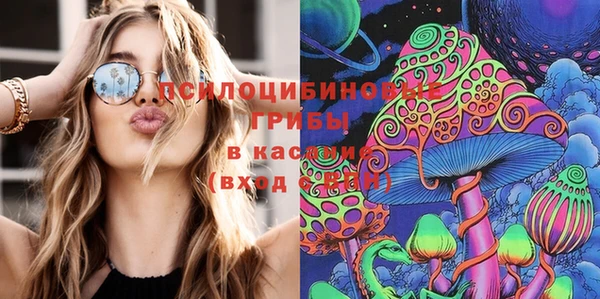 ешки Верхний Тагил