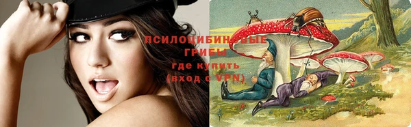 индика Верея