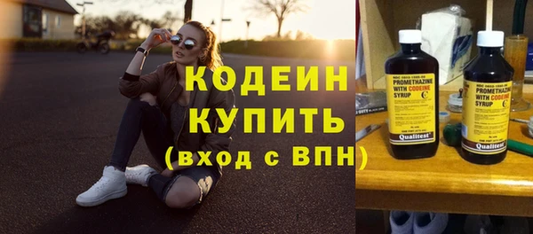 индика Верея